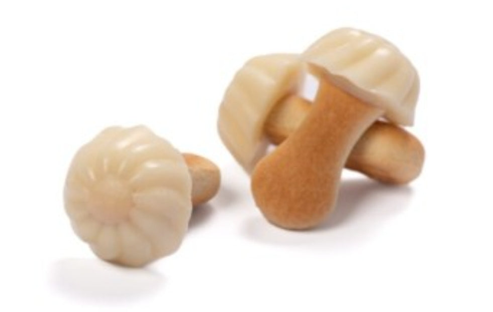 Champignon blanc (10 pieces)