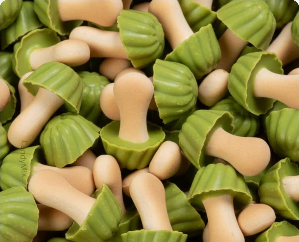 Champignon pistaches (10 pieces)
