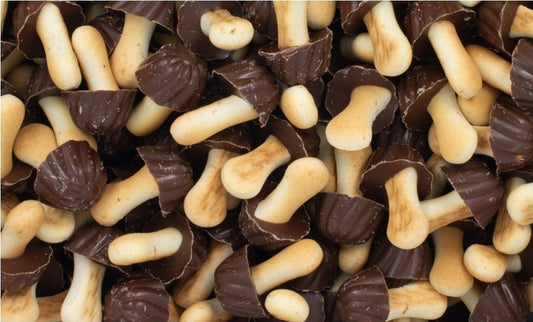 Champignon chocolats noir ( 10 pieces)