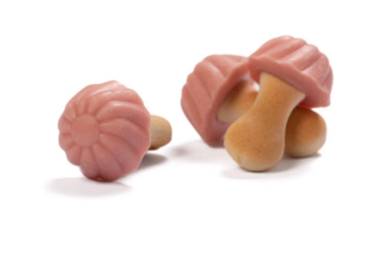Champignon fraise(10 pieces)