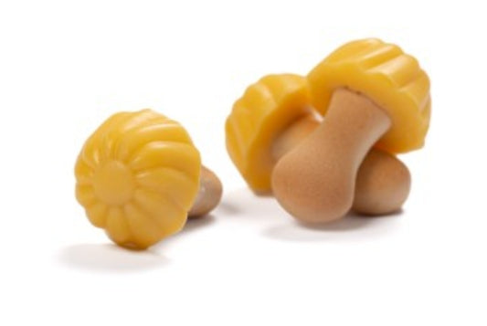 Champignon banane (10 pieces)